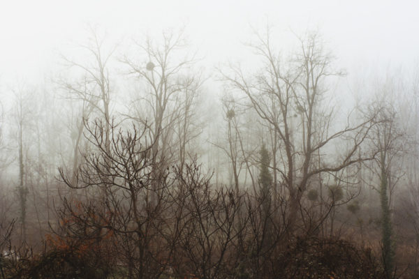 The Time of Dreaming the World Awake, Yvette Monahan