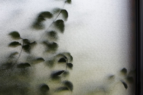 and live the space of a door, Aisling McCoy