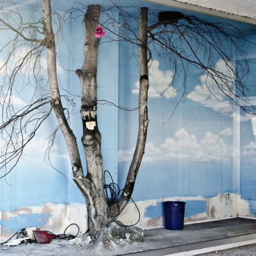 A Temporary Discomfort, Claudi Nirv