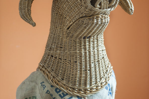 The Strawboys, Grainne Quinlan