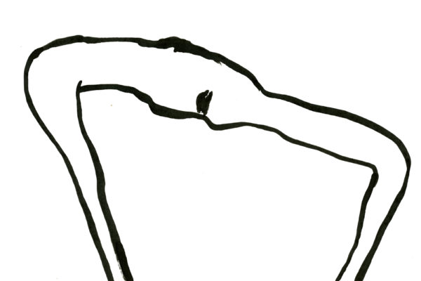 Lay Her Down Upon Her Back, Róisín White
