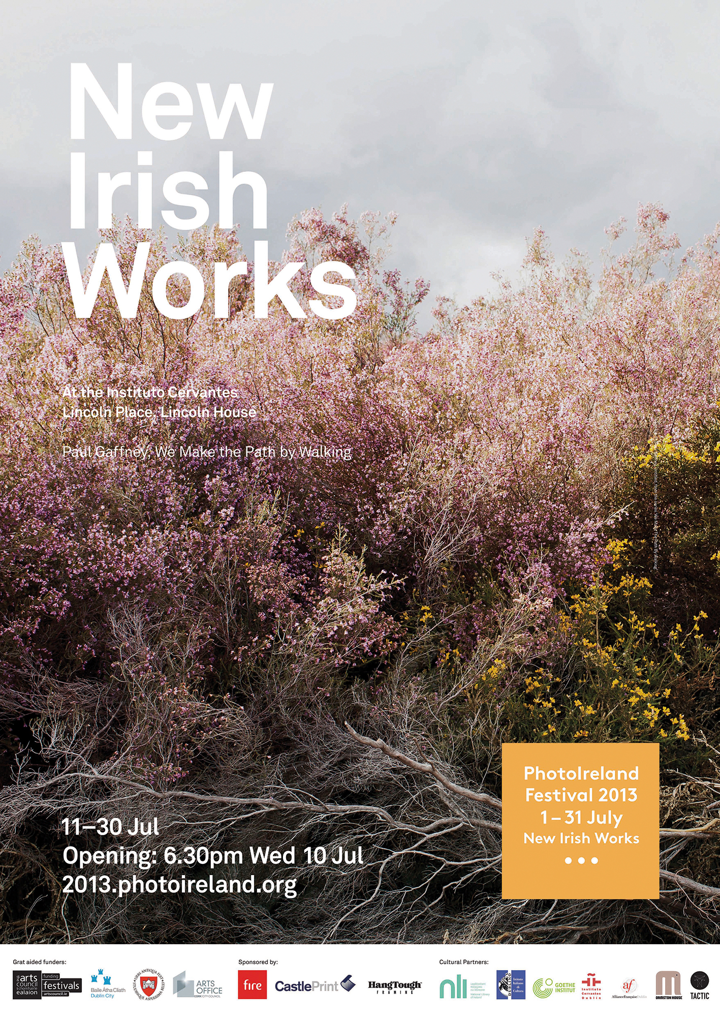 New Irish Works 2013