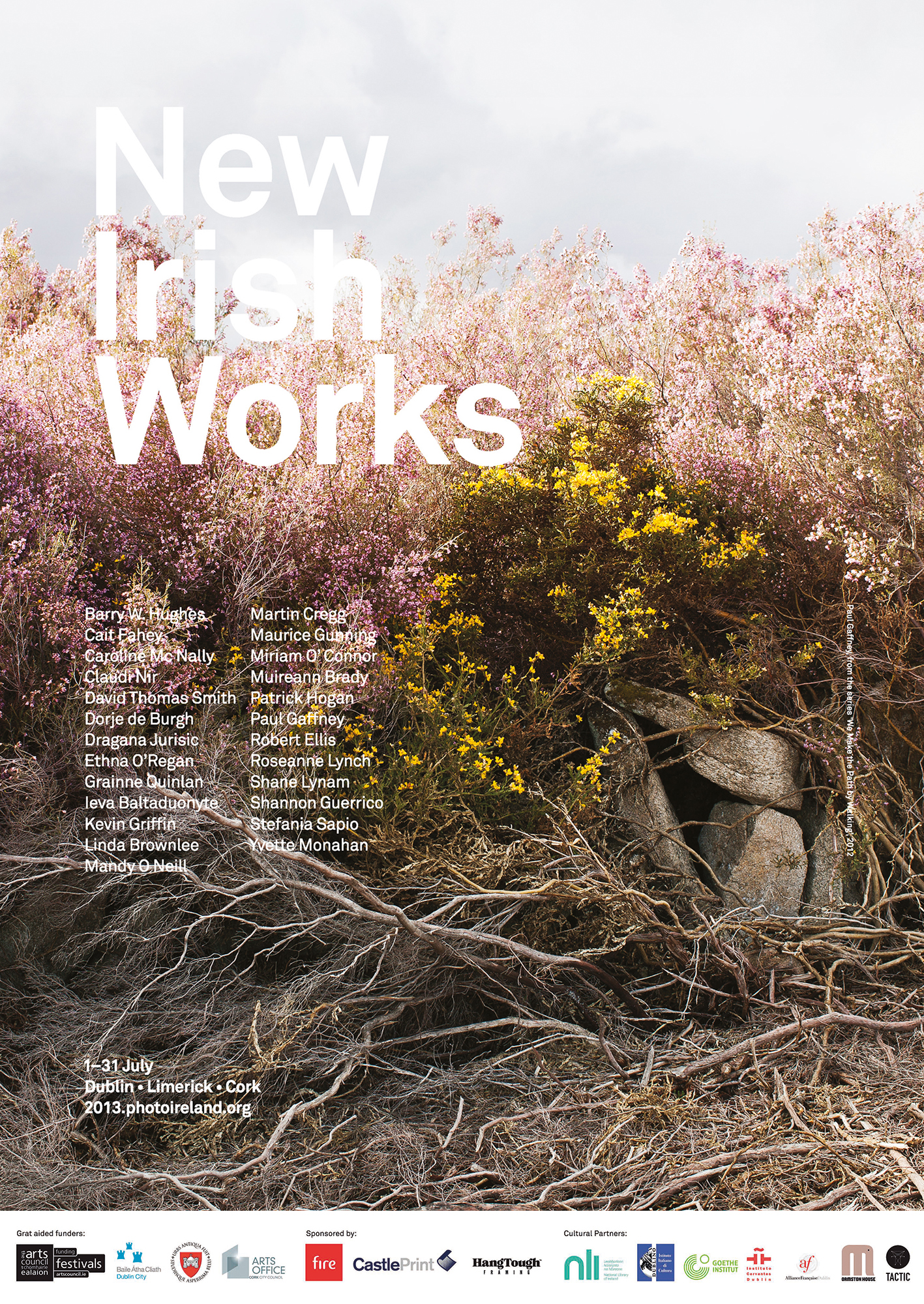 New Irish Works 2013