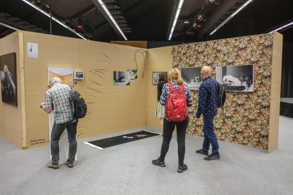 Roisin White | New Irish Works at The Museum of Contemporary Photography Ireland