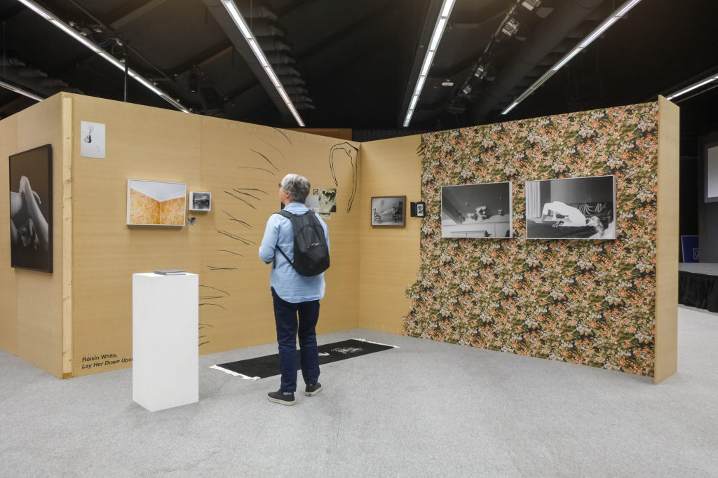 Roisin White | New Irish Works at The Museum of Contemporary Photography Ireland