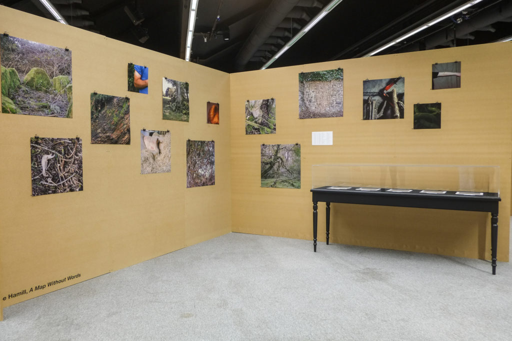 Zoe Hamill | New Irish Works at The Museum of Contemporary Photography Ireland