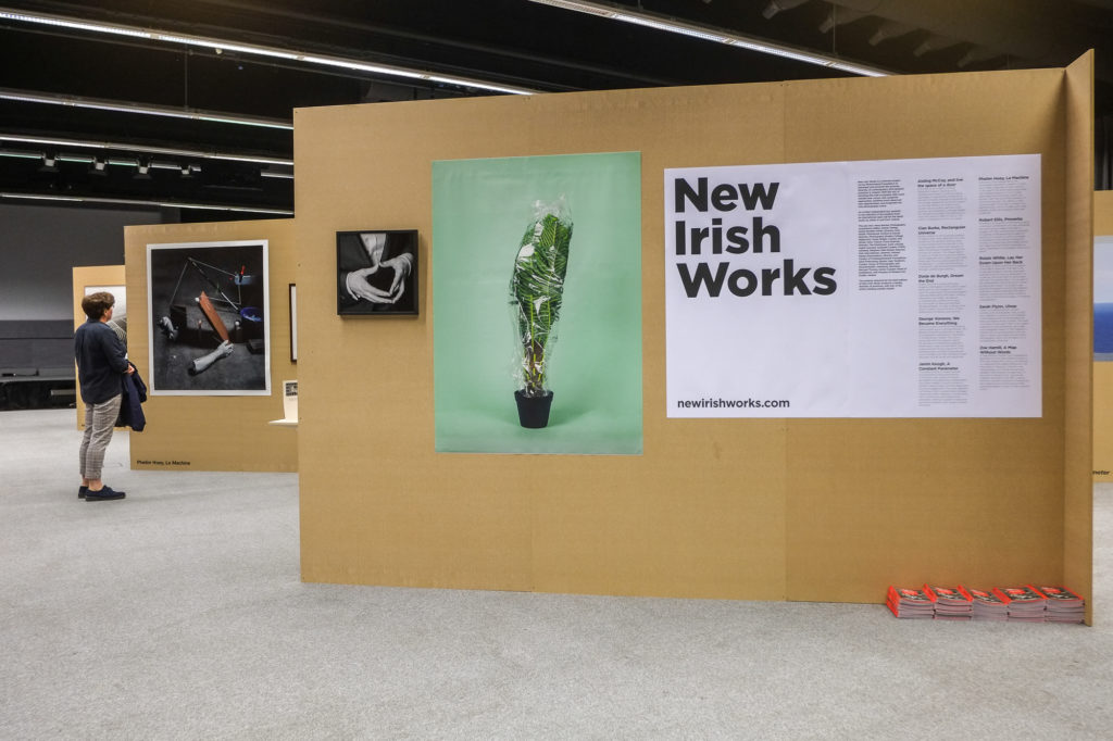 Sarah Flynn | New Irish Works at The Museum of Contemporary Photography Ireland