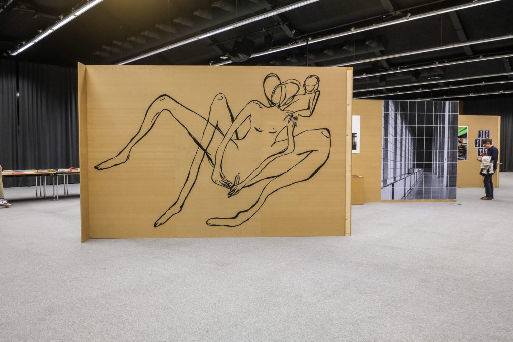 Roisin White | New Irish Works at The Museum of Contemporary Photography Ireland