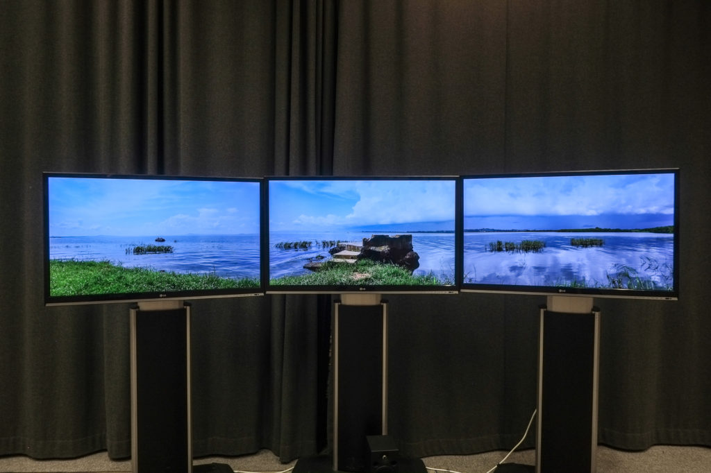 Robert Ellis | New Irish Works at The Museum of Contemporary Photography Ireland