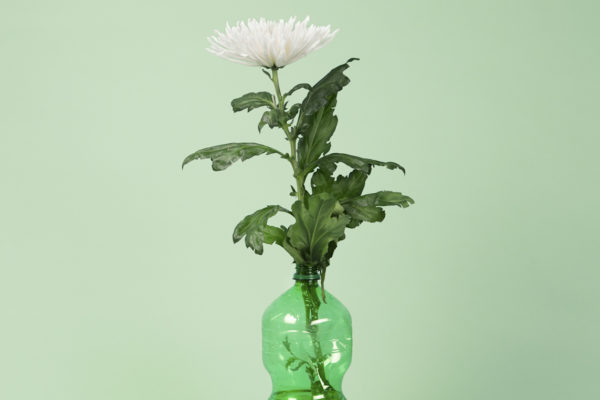 Uinse, Sarah Flynn