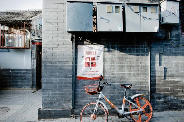 Jialin Long, Red Illuminates