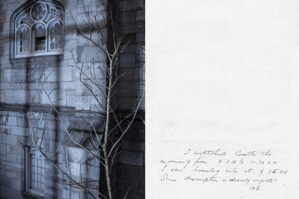 Martin Cregg, The Plot