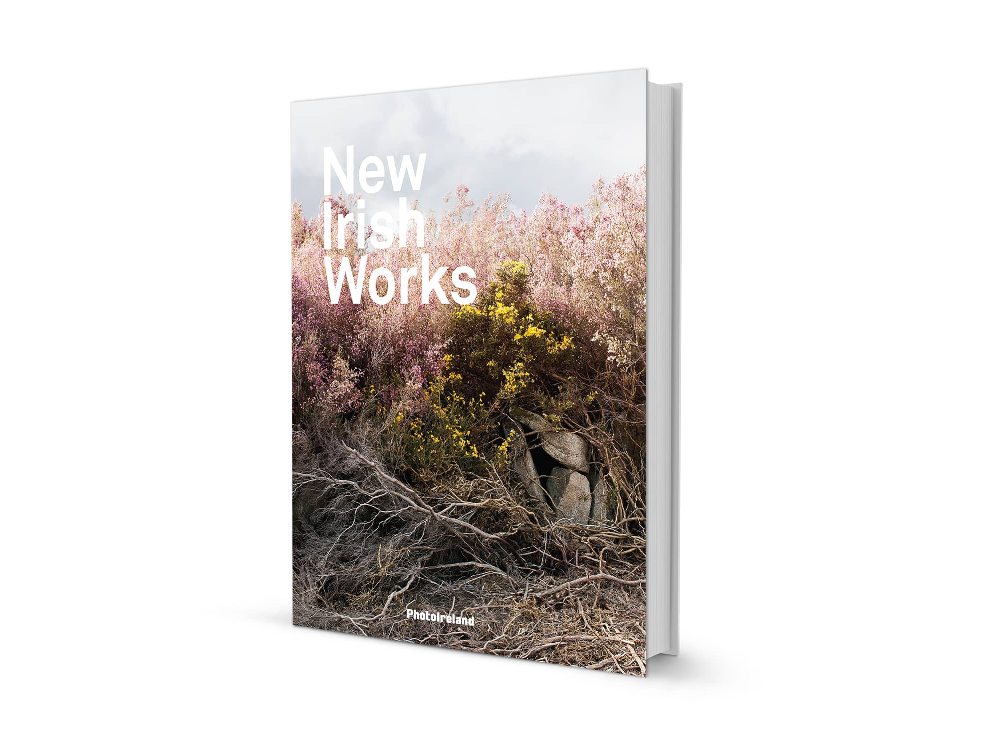 New Irish Works 2013 Book 